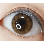 Olens Maybe Brown — single-eye close-up showing the contact lens appearance