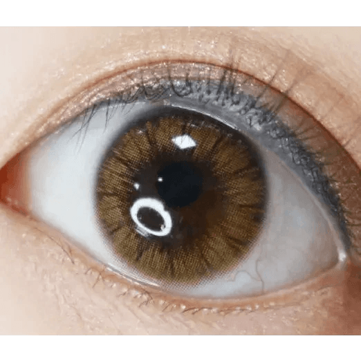 Olens Maybe Brown — single-eye close-up showing the contact lens appearance
