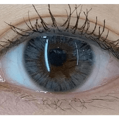 Olens Maybe Gray — single-eye close-up showing the contact lens appearance