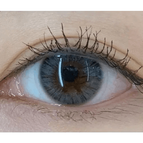 Olens Maybe Gray — single-eye close-up showing the contact lens appearance
