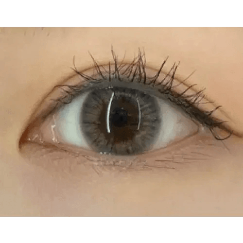 Olens Marry Me Gray — single-eye close-up showing the contact lens appearance