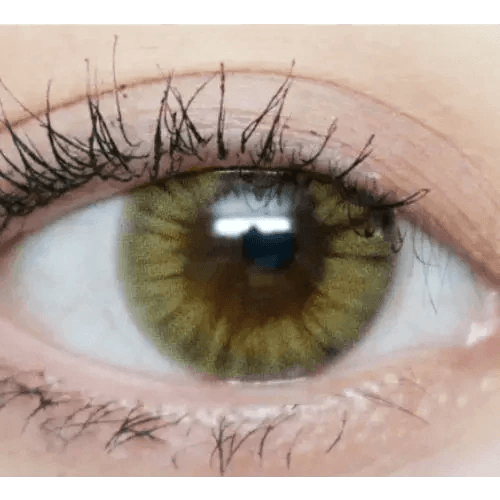 Olens Marry Me Honey Brown — single-eye close-up showing the contact lens appearance