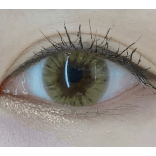 Olens Marry Me Honey Brown — single-eye close-up showing the contact lens appearance