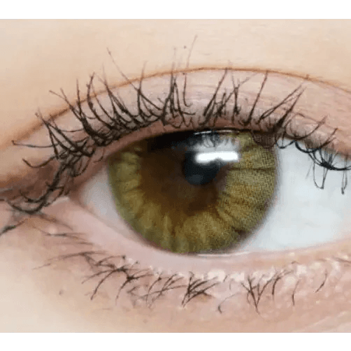 Olens Marry Me Honey Brown — single-eye close-up showing the contact lens appearance
