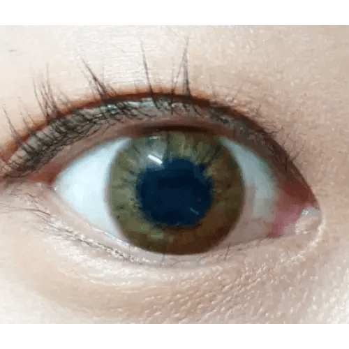 Olens Marry Me Honey Brown — single-eye close-up showing the contact lens appearance