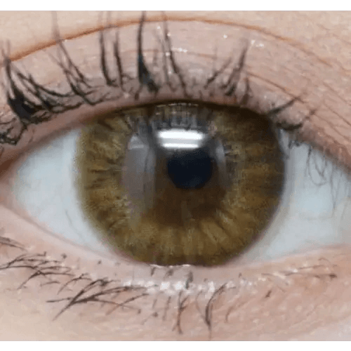 Olens Marry Me Orange Brown — single-eye close-up showing the contact lens appearance