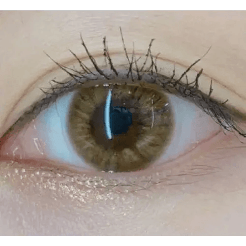 Olens Marry Me Orange Brown — single-eye close-up showing the contact lens appearance