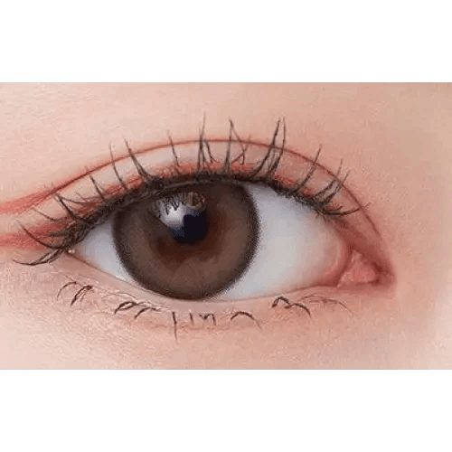 Olens Mood Night Mood Brown Toric colored contact lens, 13.3mm graphic diameter, Monthly wear