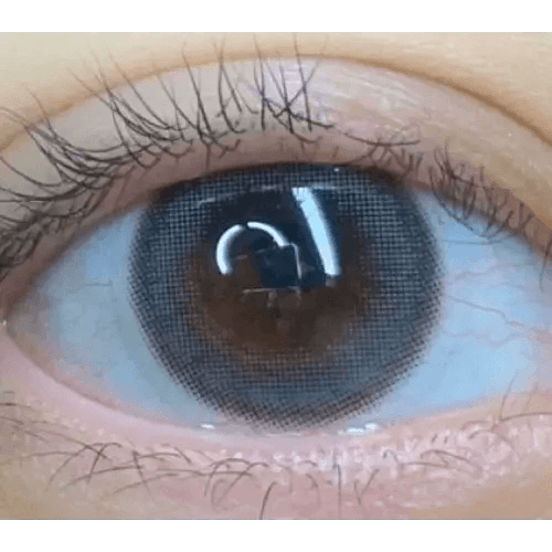 LensVery My Ann Only Gray — single-eye close-up showing the contact lens appearance