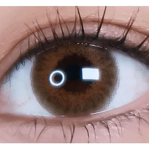 LensVery My Ann Something Brown — single-eye close-up showing the contact lens appearance