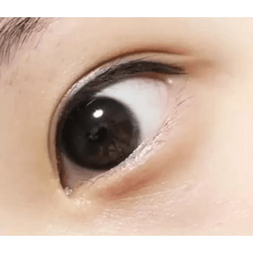 LensTown Nudy Coco Black — single-eye close-up showing the contact lens appearance
