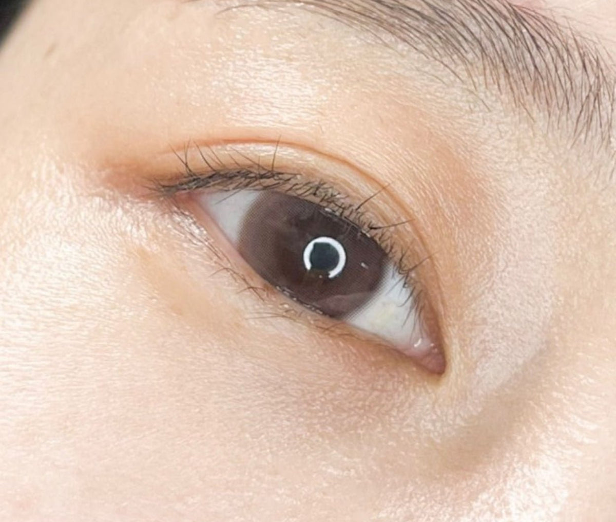 LensTown Odd I's M plain Brown colored contact lens, 13.0mm graphic diameter, Monthly wear