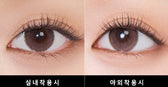 LensTown Odd I's M plain Brown colored contact lens, 13.0mm graphic diameter, Monthly wear