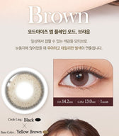 LensTown Odd I's M plain odd Brown colored contact lens, 13.0mm graphic diameter, Monthly wear