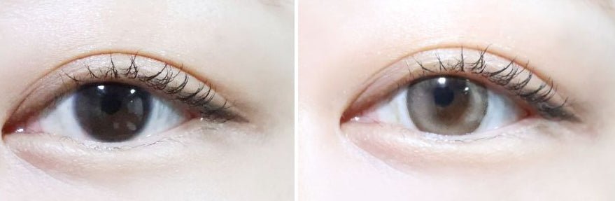 LensTown Odd I's M pure Light brown colored contact lens, 13.1mm graphic diameter, Monthly wear