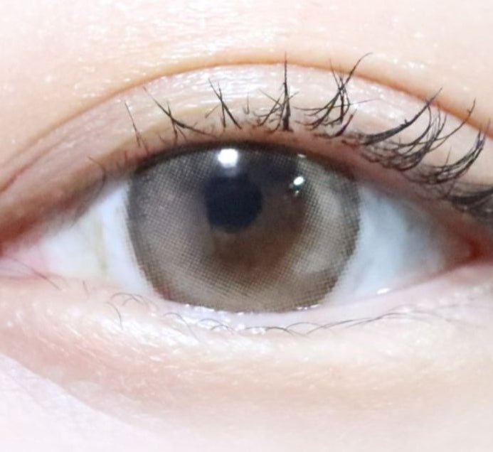 LensTown Odd I's M pure Light brown colored contact lens, 13.1mm graphic diameter, Monthly wear