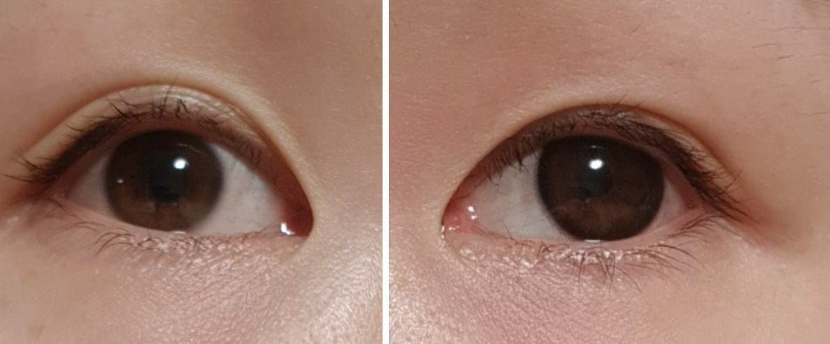 Olens Chagall Black colored contact lens, 12.8mm graphic diameter, 3-6 Months wear