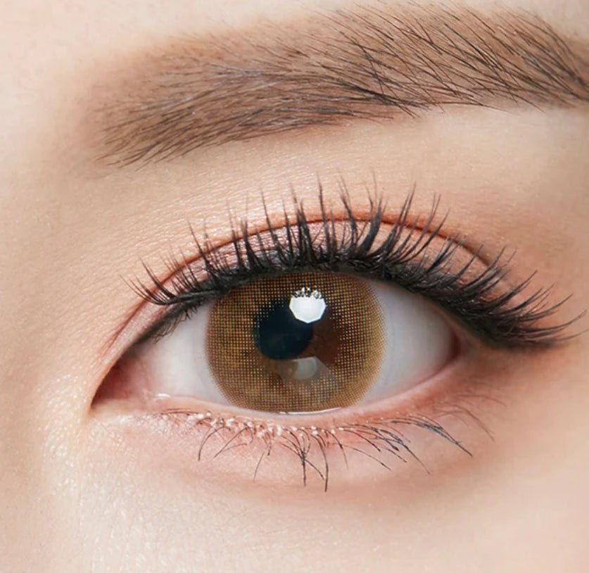 Olens Classi Water Brown colored contact lens, 13.4mm graphic diameter, 3-6 Months wear