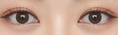 Olens Misty Natural Choco (20p) colored contact lens, 13.1mm graphic diameter, Daily wear