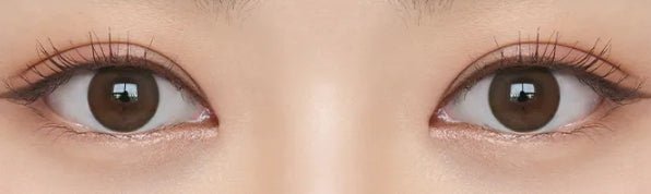 Olens Misty Natural Choco (20p) colored contact lens, 13.1mm graphic diameter, Daily wear