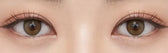 Olens Real Ring Brown Toric (For astigmatism) colored contact lens, 12.5mm graphic diameter, Monthly wear