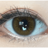 Olens Scandi Olive — single-eye close-up showing the contact lens appearance
