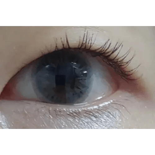Olens Seolem 3 Color Gray — single-eye close-up showing the contact lens appearance