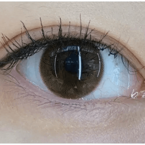 Olens ShineB Brown colored contact lens, 12.9mm graphic diameter, 3-6 Months wear