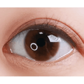 Olens Shining Pure Brown — single-eye close-up showing the contact lens appearance