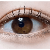 Olens Shining Pure Choco — single-eye close-up showing the contact lens appearance