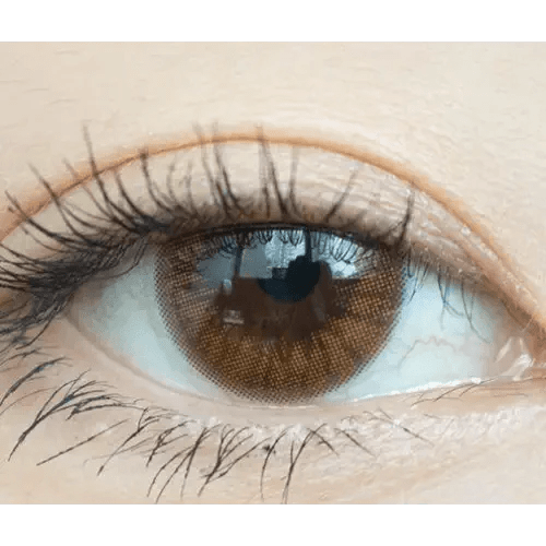 Olens Someday Choco — single-eye close-up showing the contact lens appearance