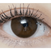 Olens Someday Gray — single-eye close-up showing the contact lens appearance