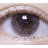 Olens Someday Gray — single-eye close-up showing the contact lens appearance