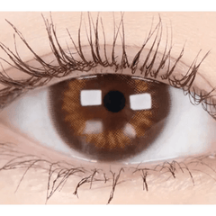 Olens Spanish Circle Brown (20p)