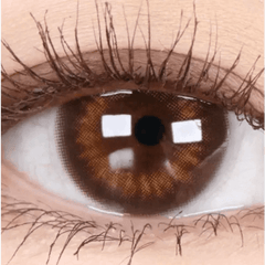 Olens Spanish Circle Brown (20p)