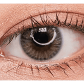 Olens Spanish Gray (20p) — single-eye close-up showing the contact lens appearance