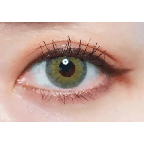 Olens Symphony 3con Green colored contact lens, 13.5mm graphic diameter, Monthly wear