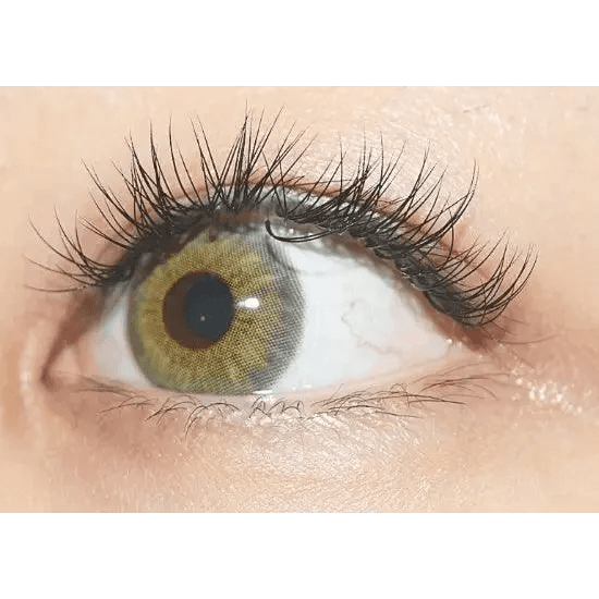 Olens Symphony 3con Green colored contact lens, 13.5mm graphic diameter, Monthly wear