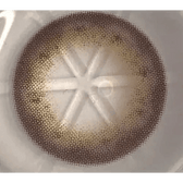 Olens Tika Chocolate Brown — close-up of the contact lens design