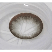 Olens Tok Tok Sugar Gray — close-up of the contact lens design