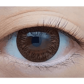 Olens Toy Brown — single-eye close-up showing the contact lens appearance