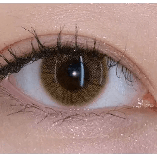 Olens TT 1 Brown — single-eye close-up showing the contact lens appearance