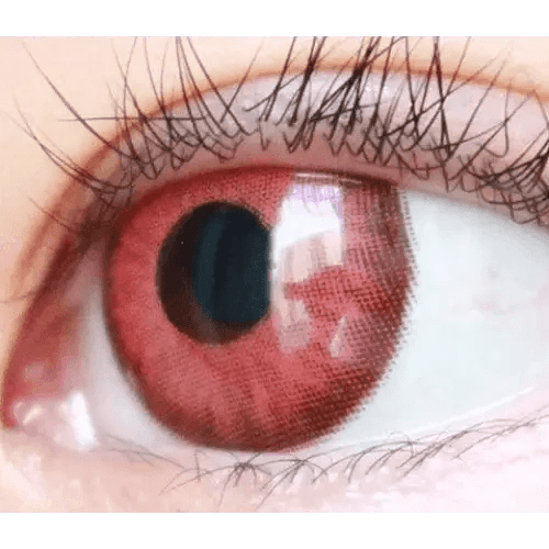 Olens Vampire Red — single-eye close-up showing the contact lens appearance