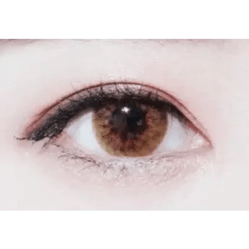 Olens Vogue Brown — single-eye close-up showing the contact lens appearance