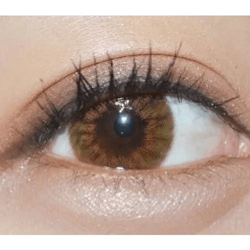Olens Vogue Brown — single-eye close-up showing the contact lens appearance