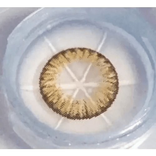 Olens W1 Brown colored contact lens, 13.6mm graphic diameter, 3-6 Months wear