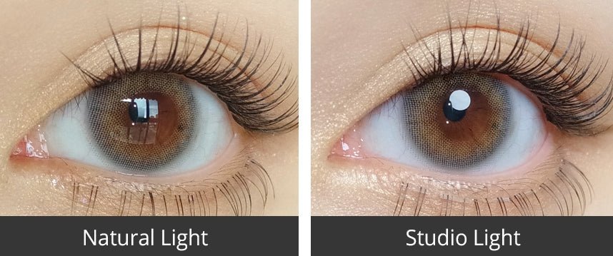 Olola A.ble Gray (10p) colored contact lens, 13.1mm graphic diameter, Daily wear