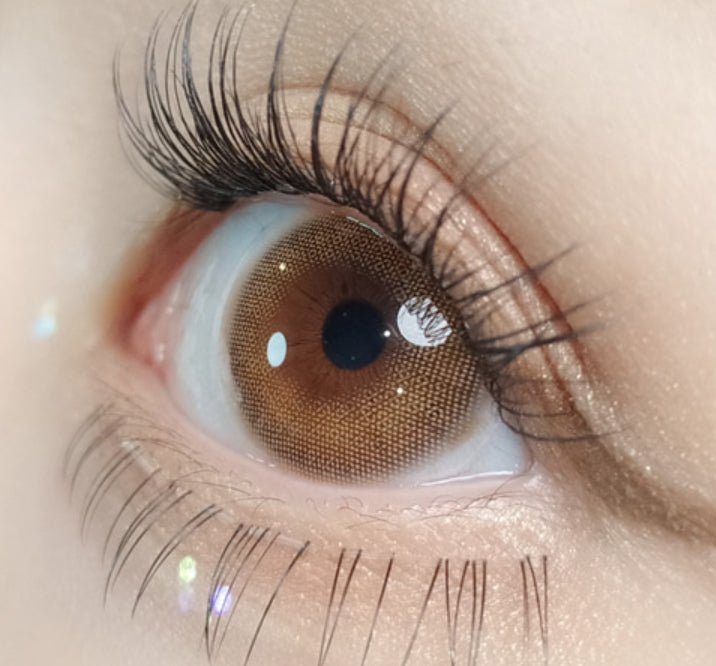 Olola A.ble Brown — monthly colored contact lenses, 13.2mm graphic diameter