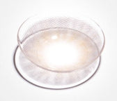 Olola A.muse Gray — monthly colored contact lenses, 13.2mm graphic diameter