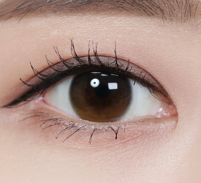 Olola Daymood Brown (10p) colored contact lens, 13.1mm graphic diameter, Daily wear